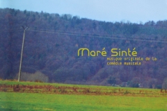 5.2.1. Maré Sinté album cover.